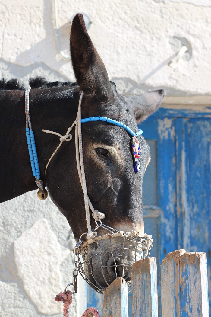 tourisme voyage Santorin Grèce