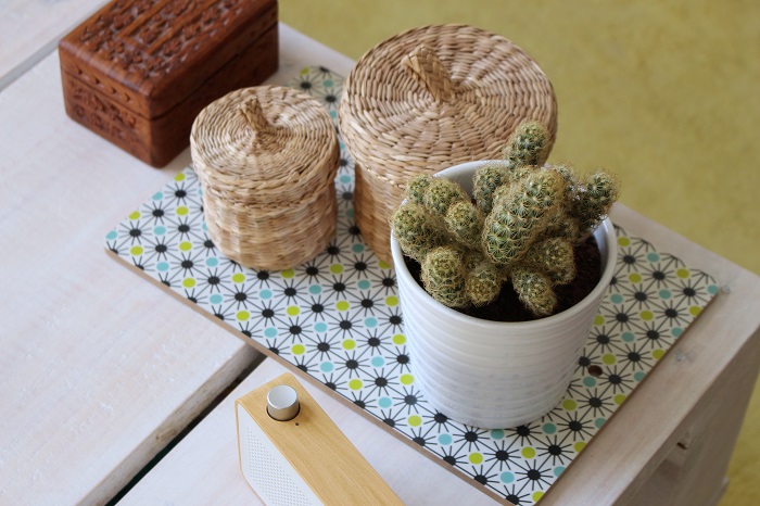 cactus panier boîte décoration