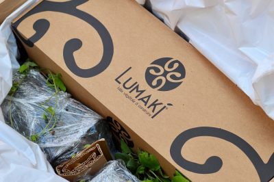 Le concept LUMAKI
